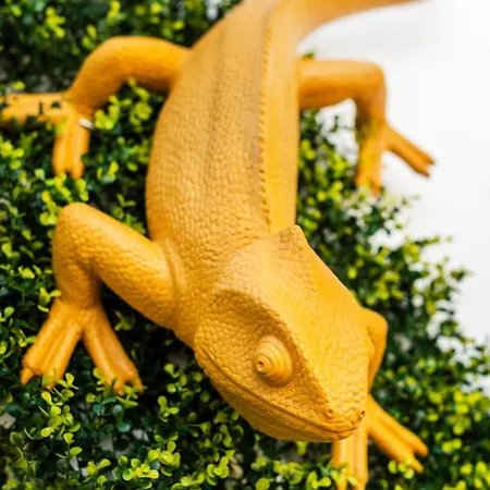 Apartament Bnbird Exclusive Oasis In Vilamoura