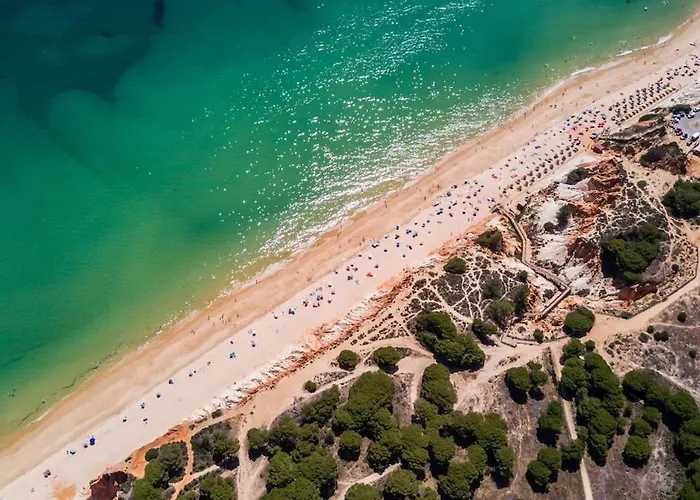 Bnbird Exclusive Oasis In Vilamoura * Quarteira